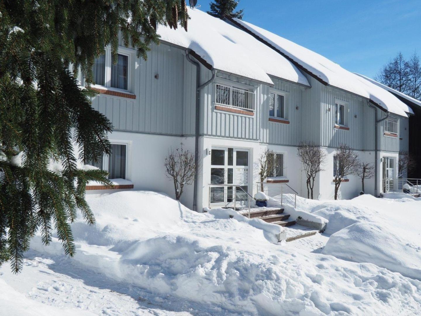 Ferienresidenz An Der Bode, Wohnung 1 Braunlage Ngoại thất bức ảnh